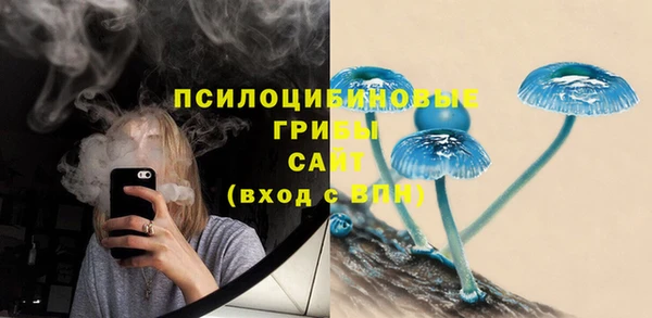 тгк Богородск