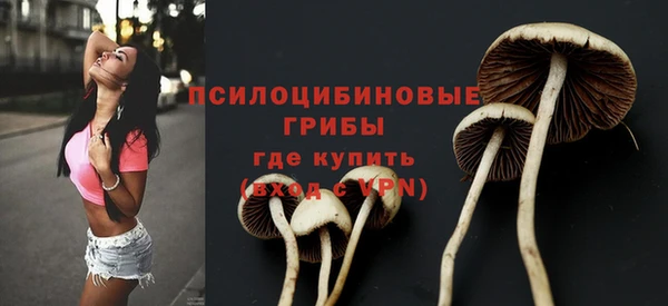 синтетический гашиш Богданович