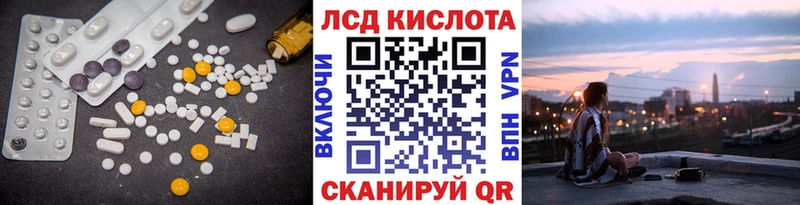 Купить закладки  Оса  ЛСД экстази кислота 